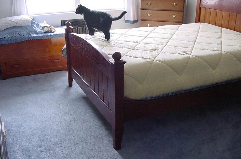 Headboard, Footboard, and bed frame in Oak