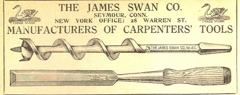 File:Swan1.jpg